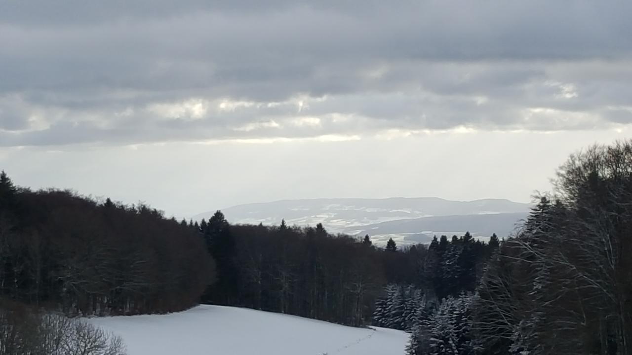 Gasthof Zum Hirschen 호텔 Strittmatt 외부 사진